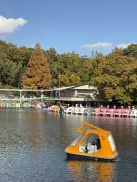 東山植物公園湖泊-多元化水上設施，悠閑享受自然美景