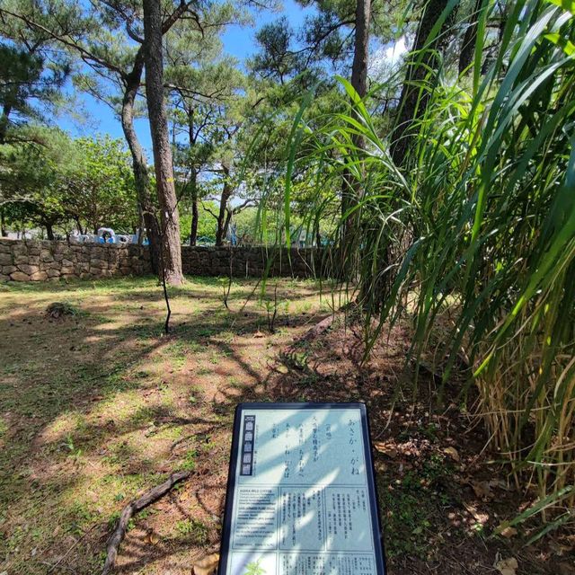 Omoro Botanical Garden