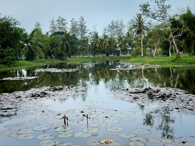 เดินชิวที่ประตูระบายน้ำอุทกวิภาชประสิทธิ์