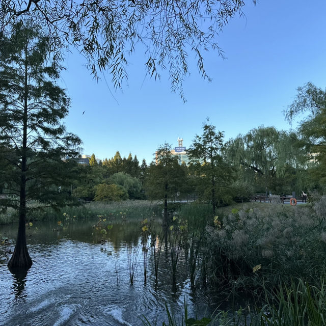 【ソウル】🇰🇷 ボラメ公園