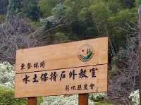 東勢林場是闔家出遊的好去處