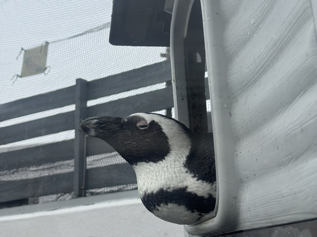 【香川/宇多津】四国の美しい水景をテーマにした「四国水族館」