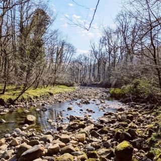 Brock Bottom River