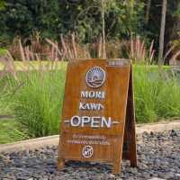 Mori Kawa Cafe คาเฟ่สไตล์ญึ่ปุ่น แห่งเมืองโคราช