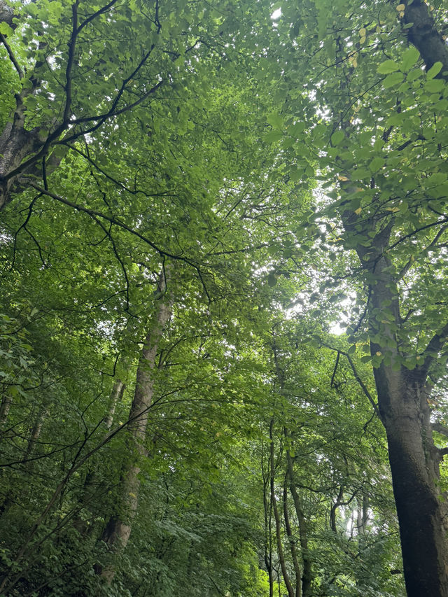 Spring Riverside Walk in Durham: A Stroll with a View