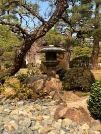 廣島｜泉水屋敷到縮景園 經過原爆悲劇後重現400年前庭園