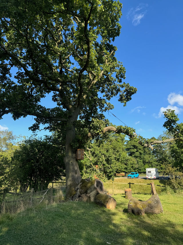 Spring Serenity at The Green, Goathland