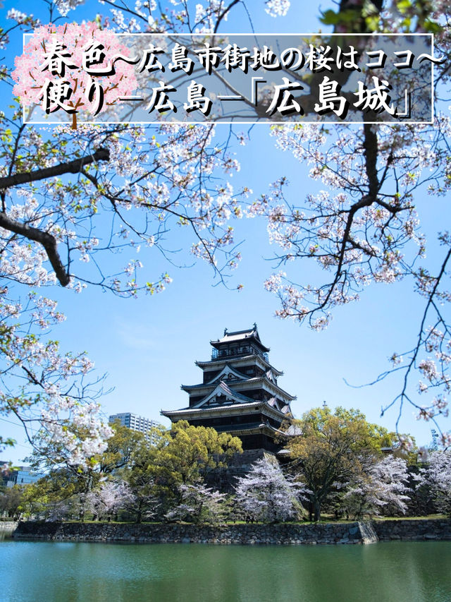 【広島】行かなきゃ損‼️桜と城のコラボが美しすぎ✨