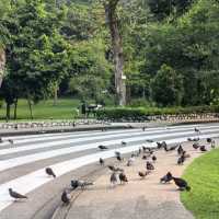 曼谷市中心的綠洲～班嘉奇蒂公園