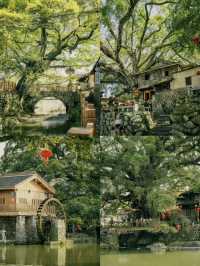 🌿 Zhangzhou: A Hidden Minnan Escape 🌊