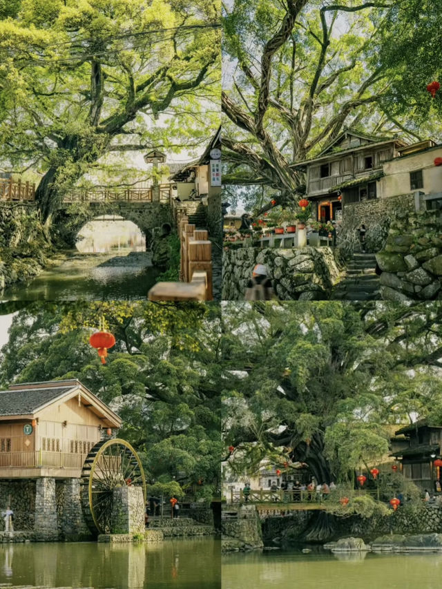 🌿 Zhangzhou: A Hidden Minnan Escape 🌊