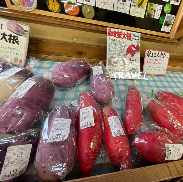 地風的採買店雜貨店 松の実