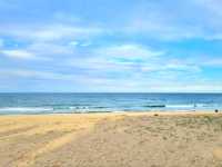 서울에서 가장 가까운 동해바다!🏖