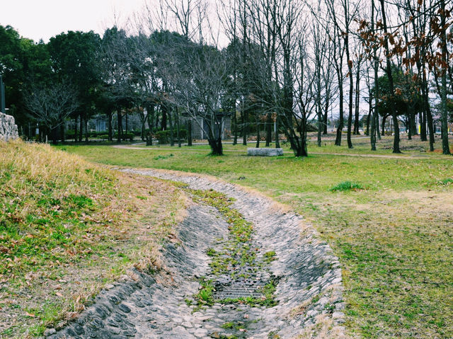 古代の姿を今に伝える静かな丘⛰️✨
