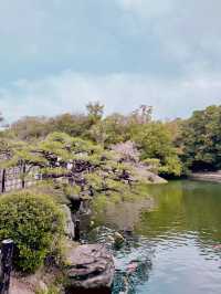 예쁜 벚꽃을 보기 좋았던 다카마쓰 공원