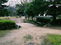のんびりとした癒しの水辺スポット🐟🪷