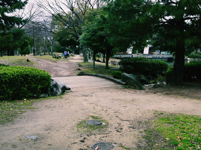 のんびりとした癒しの水辺スポット🐟🪷