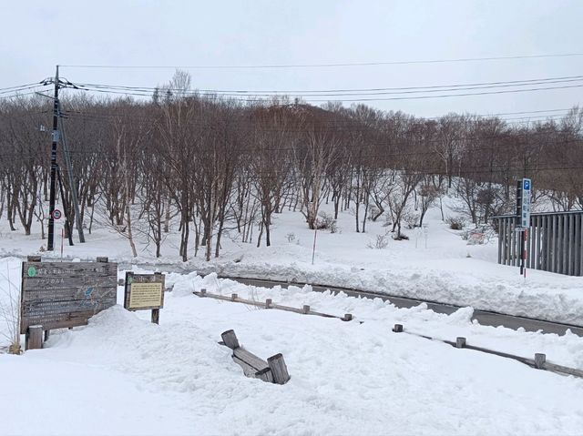 日本群馬県自由行 赤城山