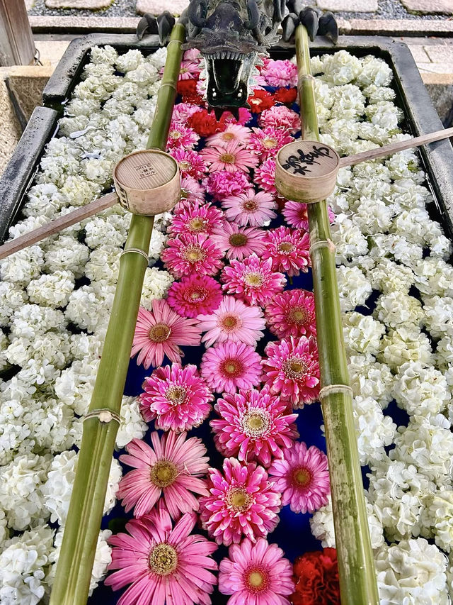 Spring Visit to Yanagidani Kannon Yōkoku-ji – A Hidden Floral Sanctuary in Kyoto