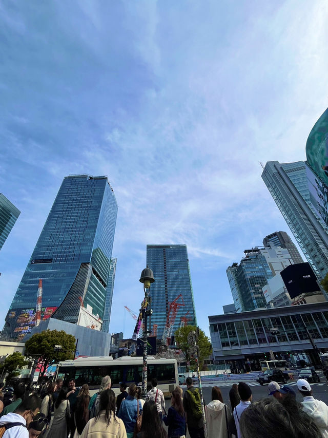 【🚶‍♂️渋谷スクランブル交差点で東京のエネルギーを感じよう🌆】