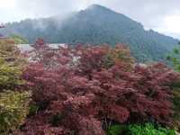 # 太平山國家森林遊樂區- 宜蘭縣大同鄉