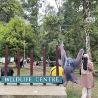 Play tourist in Sarawak! 