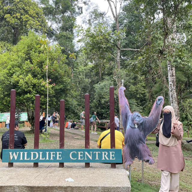 Play tourist in Sarawak! 