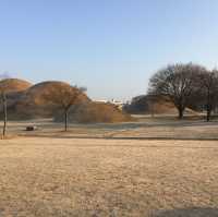 🇰🇷【大陵苑】慶州