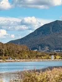 Misagyeongjeong in Bloom: Spring Colors by the Lakeside Promenade