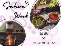 【名古屋】期間限定🌸桜の盆栽と頂くサイフォン式ドリンク