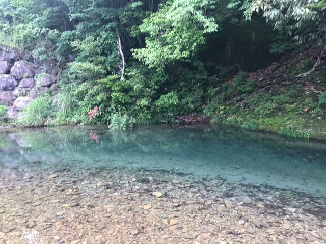 奥伊勢フォレストピアと漁港の絶景を満喫！自然と海の魅力を楽しむ休日🔥
