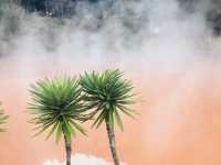 別府｜在別府遇見地獄與天堂 以溫泉交織的地獄巡遊