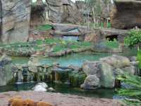 瓦倫西亞動物園