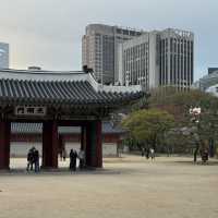서울 벚꽃 명소 덕수궁 석조전