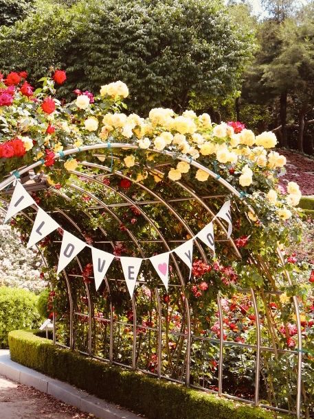 Spring's Gentle Awakening: Dodang Park's Promise of Floral Grandeur 