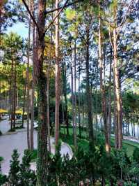 Romeo & Juliet Guesthouse @Dalat, Vietnam