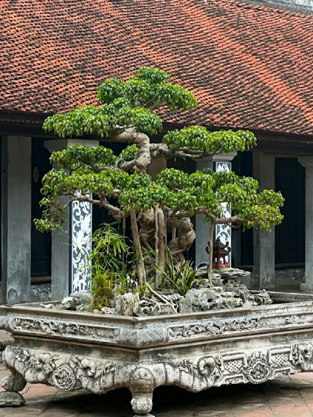 TEMPLE OF LITERATURE.