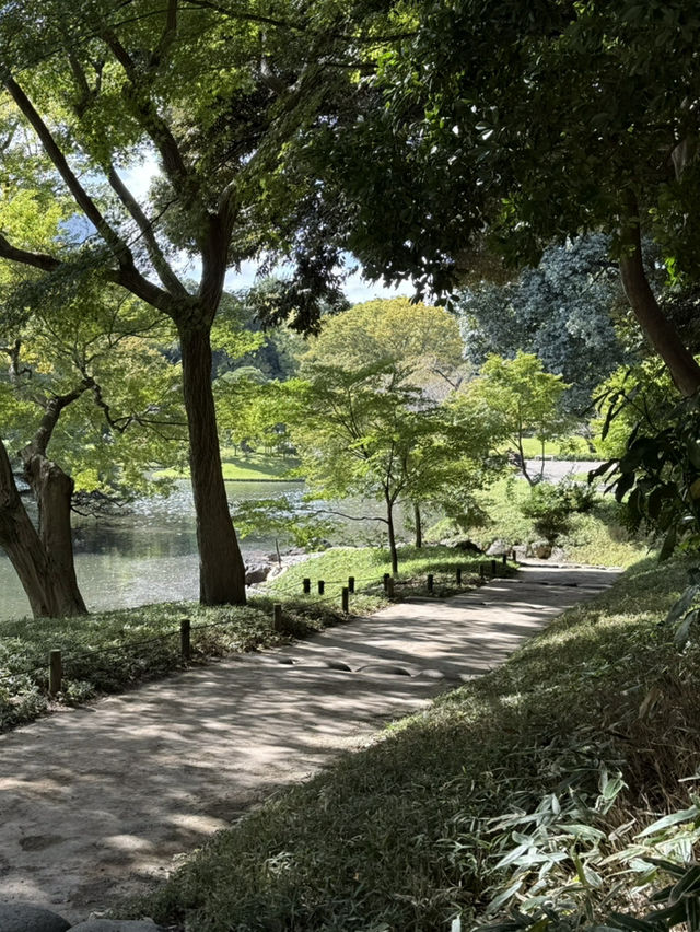 歷史與文藝的完美碰撞！東京一日遊 🍵✨ #東京行程