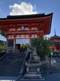 京都5間氣氛好、能量強的神社！感覺有點不一樣吧～