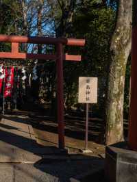 宮ノ下駅にある厳島神社周辺スナップ⛩️