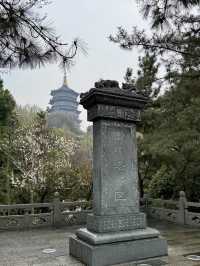 Chasing Legends: A Rain-Soaked Pilgrimage to Leifeng Pagoda