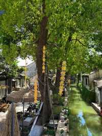 Luzhi Ancient Town – The Living Museum of Water Town Charm