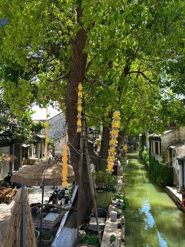 Luzhi Ancient Town – The Living Museum of Water Town Charm