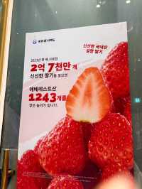 한국애도 상륙한 중국카페 차백도!