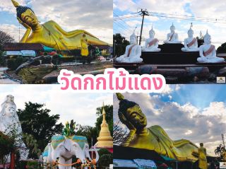 วัดกกไม้แดง