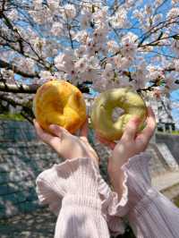 【福岡】満開の桜の下でもちもちドーナツ🌸