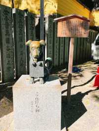 洗滌身心之旅-挑戰最難參拜的神社-金刀比羅宮