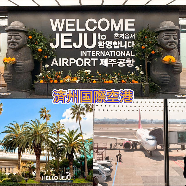 【済州島】南国感あふれる魅力がギッシリ詰まった空港✈️