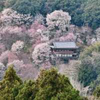 Mount Yoshino, Nara