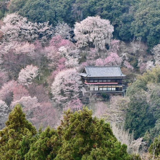 Mount Yoshino, Nara